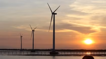 Ninh Thuan speeds up renewable energy projects