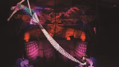 Circus performance to feature parrots for first time