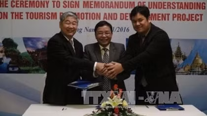 Thai companies assist Quang Nam to unlock tourism potential