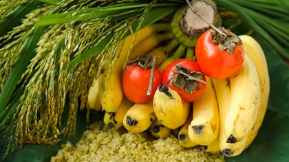 Com Vong - A specialty of Hanoi's autumn 