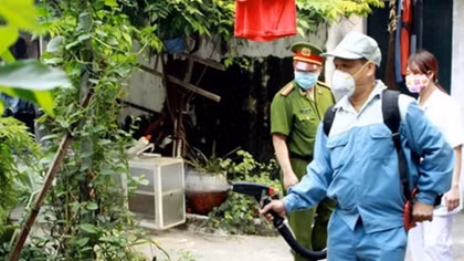 Dengue fever cases in Hanoi fall 96.8%