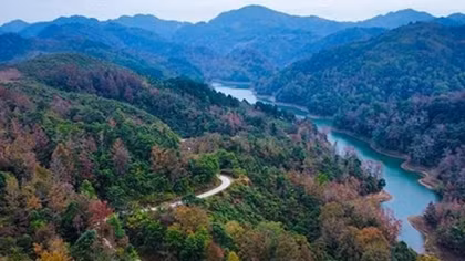Project set to grow at least 1 billion trees in Vietnam over five years