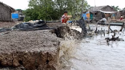 Ca Mau: Coastal residents to benefit from disaster risk reduction project