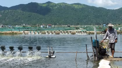 Solutions sought for sustainable fishery in Phu Yen