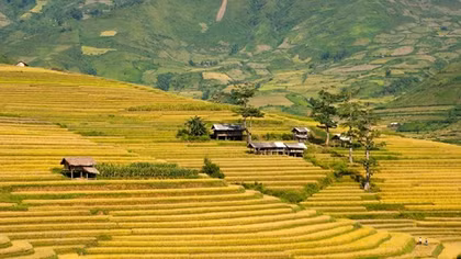 Muong Lo - cradle of Black Thai culture