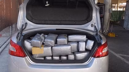 Traffic Police facing drug-related criminals