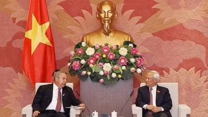 Cuba looks to learn from Vietnam’s constitutional amendment