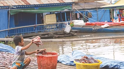 Vietnamese Cambodians build lives far from home country