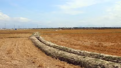 Meeting marks World Day to Combat Desertification