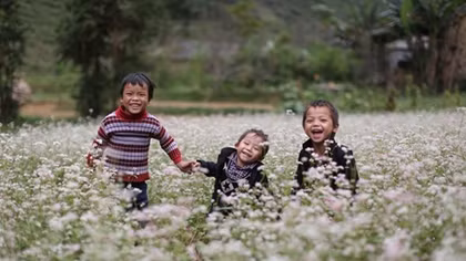 Buckwheat flower