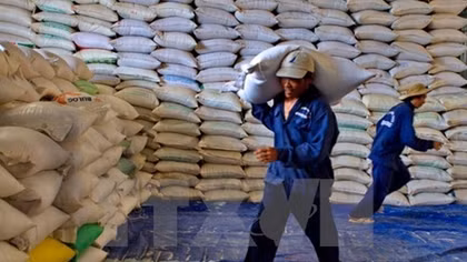 Thanh Hoa to receive over 50,000 tonnes of rice to support forest protectors