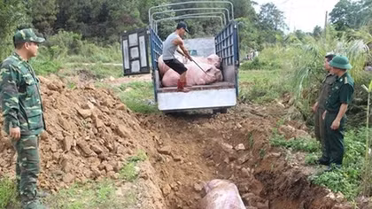 PM requests measures to control African swine fever