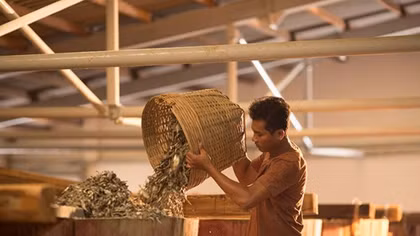 Phu Quoc fish sauce recognised as traditional craft