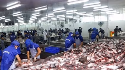 Tra fish companies see stock prices plummet