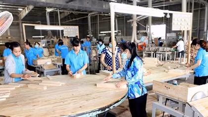 Timber, wood product exports reach 9.64 bln USD in 11 months