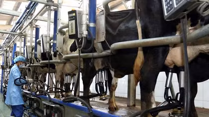 Hi-tech agriculture: a solution and a challenge