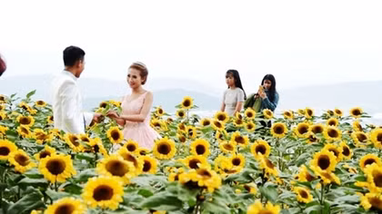 Huge profits from remained flowers from Tet