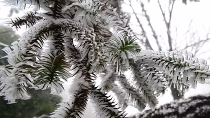 Various mountainous provinces witness record cold spells since beginning of winter