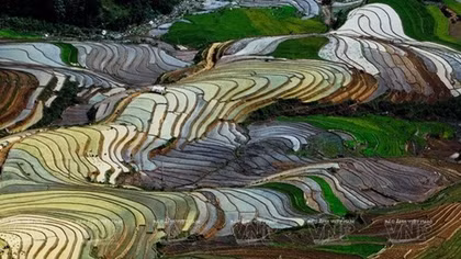 Paragliding festival to take place in Yen Bai