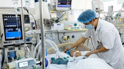 Vietnam cooperates with WHO to address health priority issues