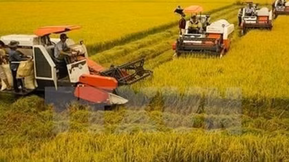 63.4 percent of Vietnamese communes meet new-style rural criteria