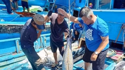 Provinces ramp up installation of systems to fight illegal fishing