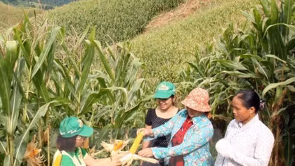 WB aids poverty alleviation programme for ethnic groups