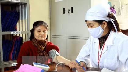 About 12 mln Vietnamese suffer from hypertension