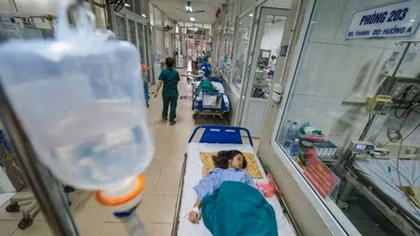 Hanoi to take action to prevent dengue fever