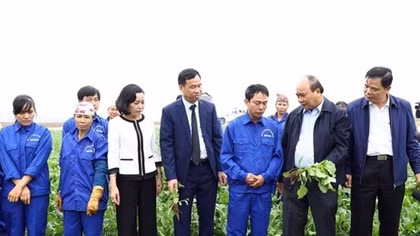 PM calls for application of technology in agricultural production