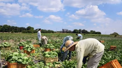 Ibaraki - favourite destination for Vietnamese apprentices