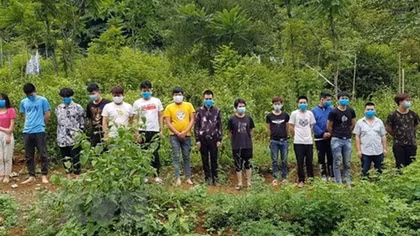 Foreigners arrested for illegal entry into Vietnam