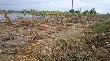 Australia supports Vietnam overcome consequences of Typhoon Damrey