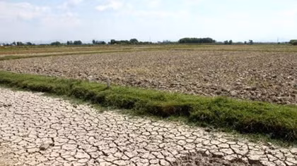 Ecosystem-based climate change adaptation reaps fruits