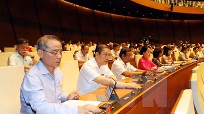 NA ratifies Vietnam’s membership of ILO convention against forced labour