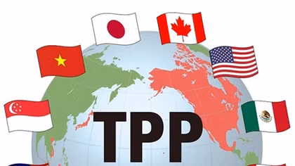 VN laws need fine tuning for TPP: report 