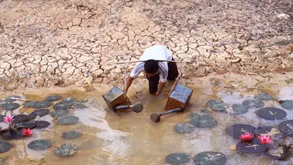 Germany keen on climate change projects in Mekong Delta