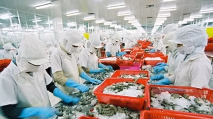 Almost 700 Vietnamese firms lose export licences to US