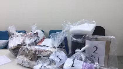 HCM City Customs seize drugs sent from Europe