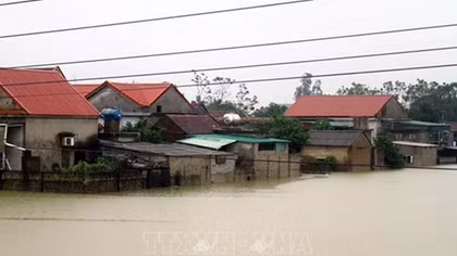 Netherlands to help Vietnam with 2.34 million USD flood aid package