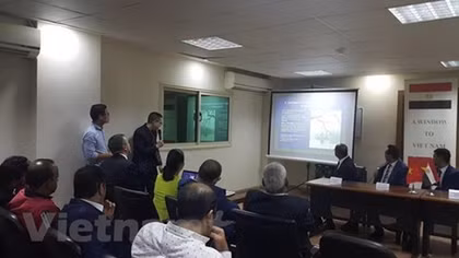 Vietnam, Egypt boost cooperation in potential areas