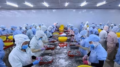 Vietnam’s shrimp exports forecast to reach 3.8 billion USD in 2020
