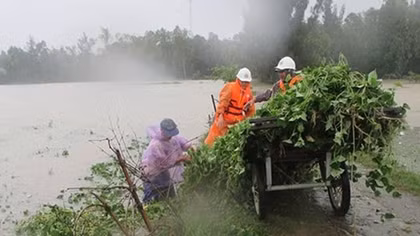 Quang Nam Red Cross raises funds for social security