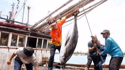 Nghe An develops offshore fishing ships