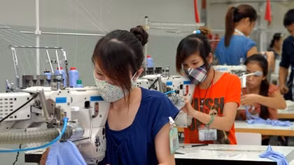 VN growth resilient to global slip