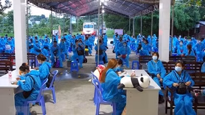 More Vietnamese citizens flown home from Europe