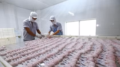 Vietnam-UK trade to benefit from EVFTA: Official