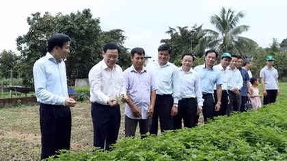 Deputy PM urges creativity in building new rural areas