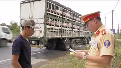 Quang Tri Traffic Police team up with other forces to prevent African swine fever