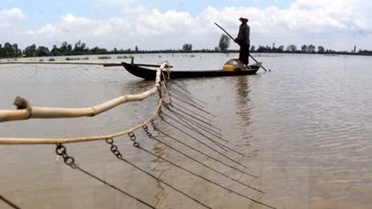 Mekong Delta in flood season